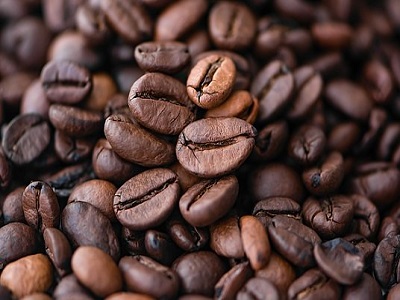 【珈琲焙煎士 】コーヒー販売業の礎となる珈琲焙煎士